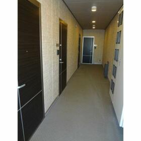 7/15 その他画像