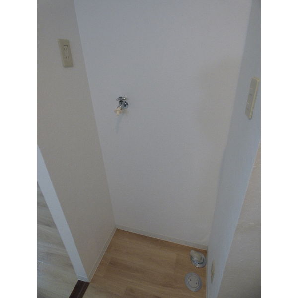 11/15 その他画像