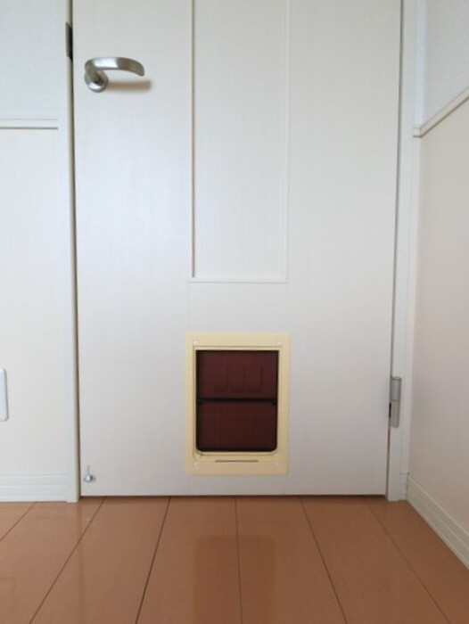 17/19 その他画像