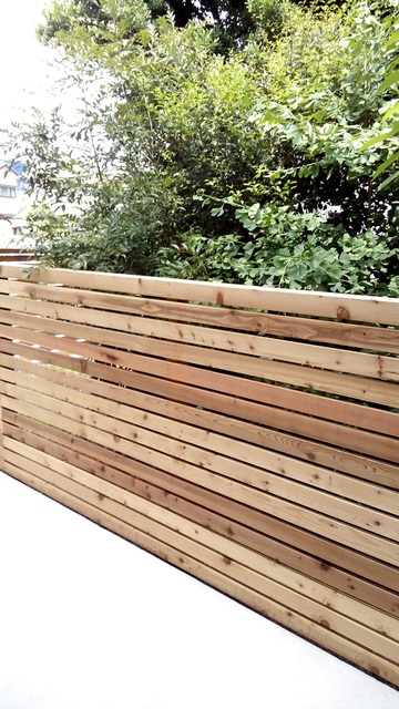 19/29 その他画像