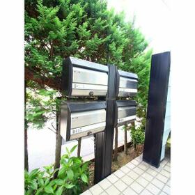 11/17 その他画像