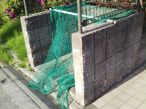 13/19 その他画像