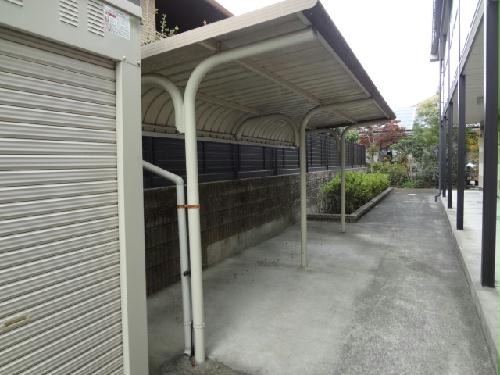 11/14 その他画像