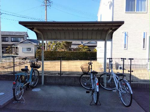 11/14 その他画像