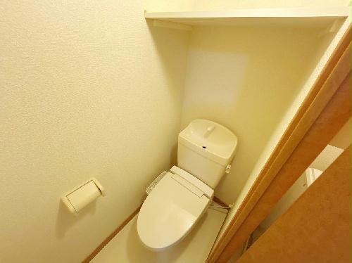 8/16 その他画像