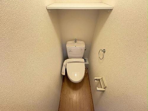 8/22 その他画像