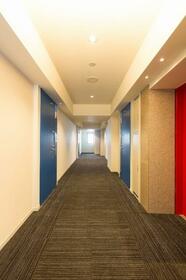 8/11 その他画像