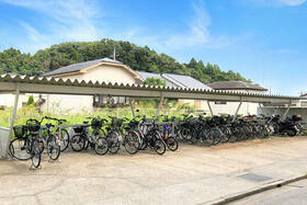 13/19 その他画像