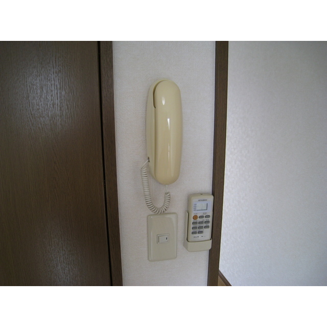 8/19 その他画像