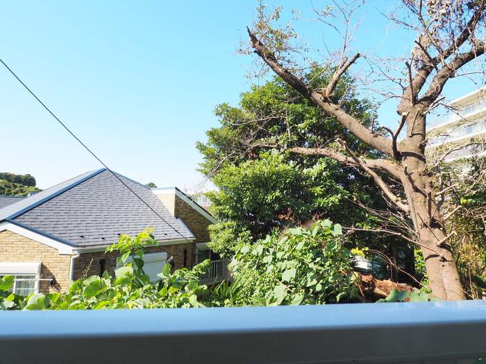 17/18 その他画像