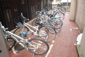 15/17 その他画像