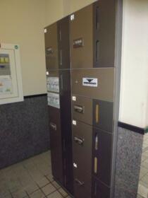 15/16 その他画像