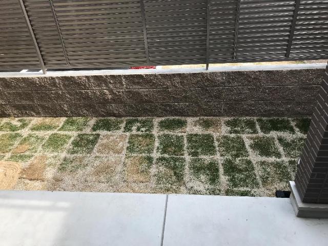 16/25 その他画像