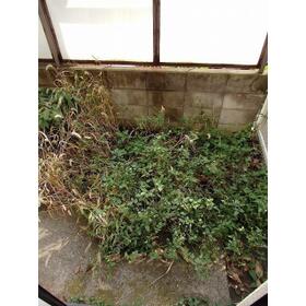 11/23 バルコニー