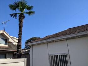 14/23 その他画像