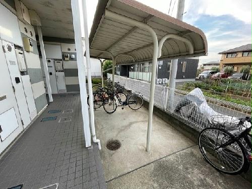 11/23 その他画像