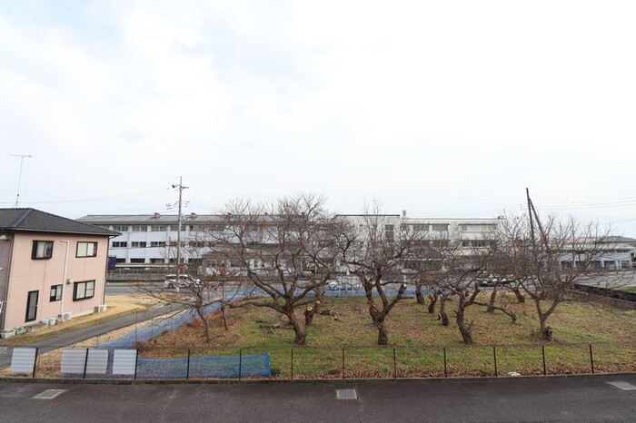 17/20 その他画像