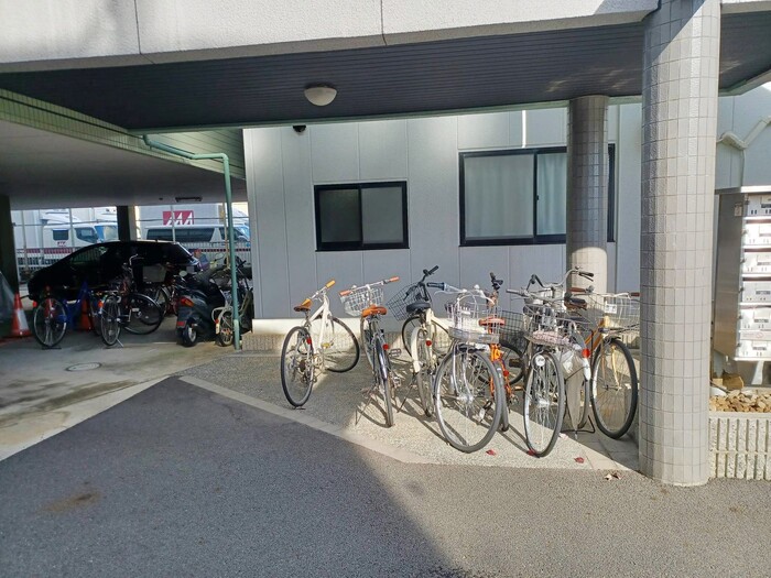 15/19 その他画像