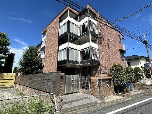 8/17 その他画像