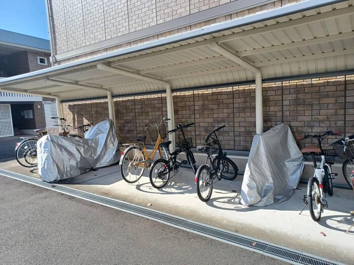 15/19 その他画像