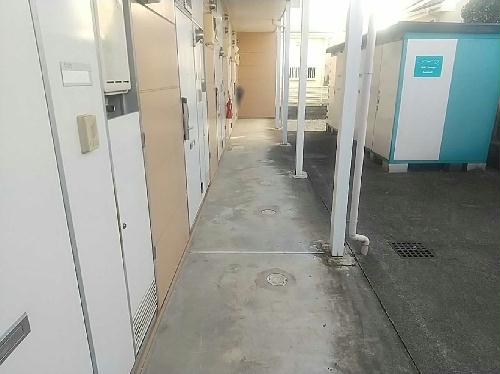 11/14 その他画像