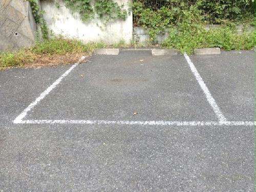 8/21 その他画像