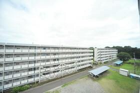 13/17 その他画像