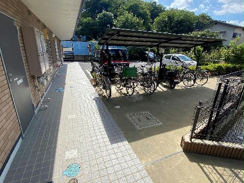 12/16 その他画像