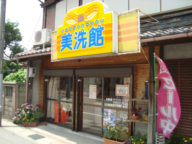 3/7 周辺