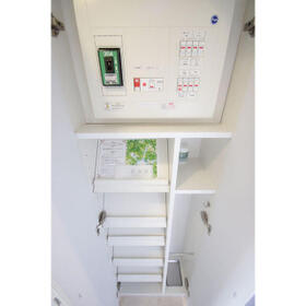 6/15 その他画像