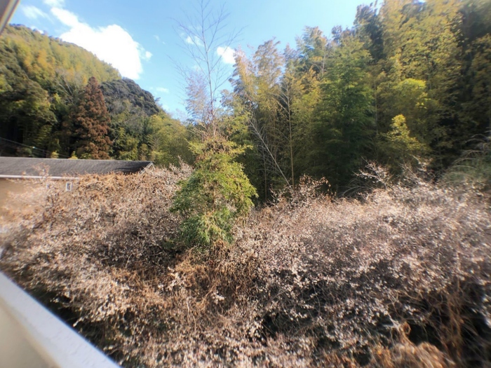 13/21 その他画像