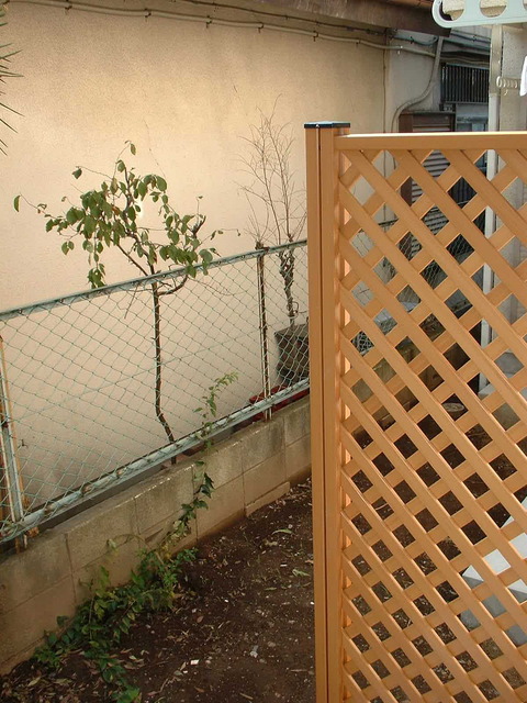 11/11 その他画像