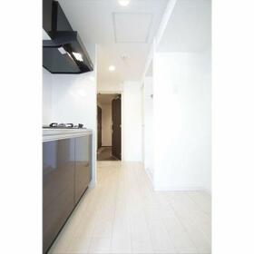 15/16 その他画像