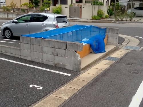 11/15 その他画像