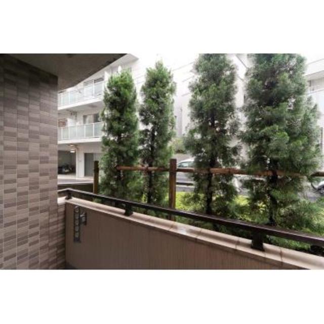 9/15 その他画像