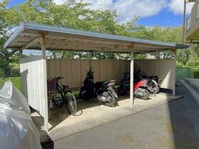 15/17 その他画像