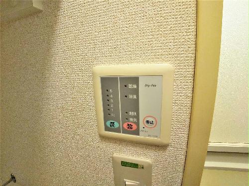 11/20 その他画像