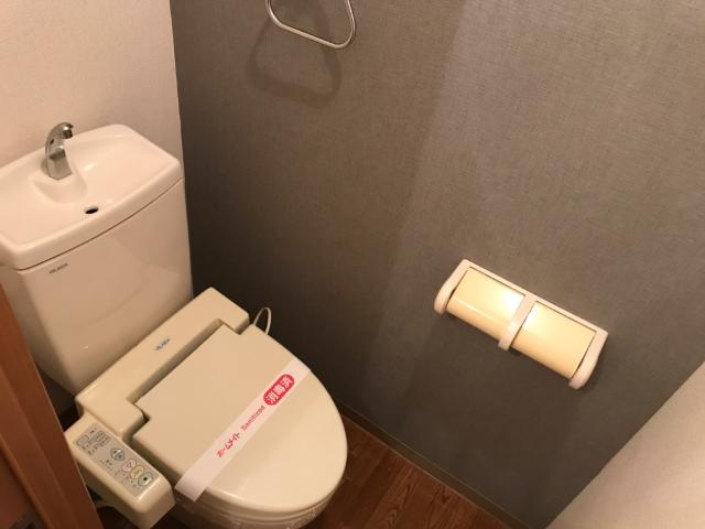 17/29 トイレ