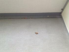 10/24 バルコニー