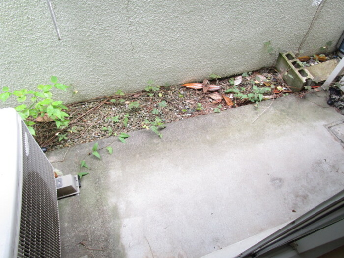 17/20 その他画像