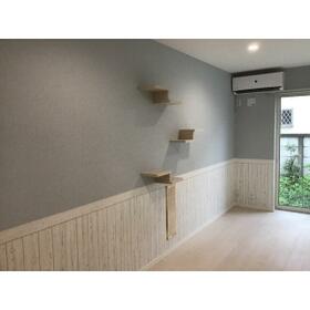 15/16 その他画像