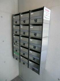 15/20 その他画像