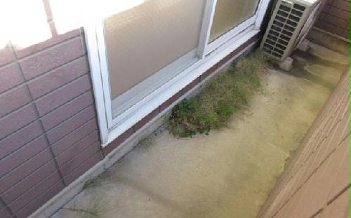 12/13 その他画像