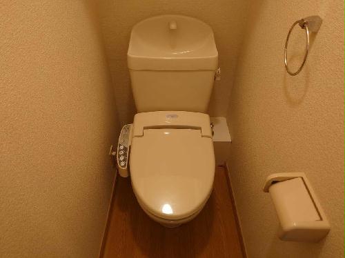 8/14 その他画像