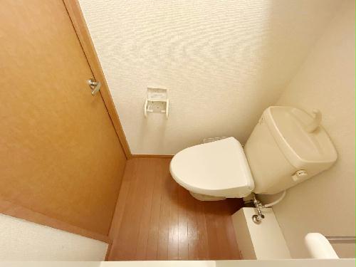 8/14 その他画像