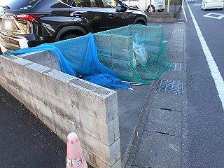 12/22 その他画像