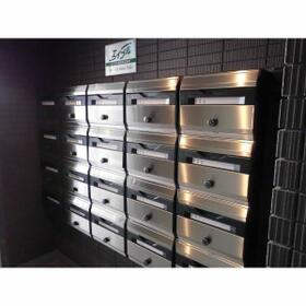 6/15 その他画像