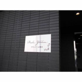 7/15 その他画像