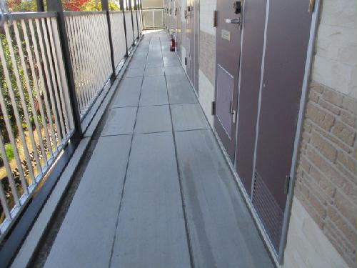 13/19 その他画像