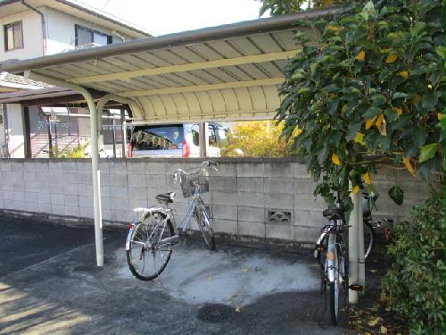 11/19 その他画像